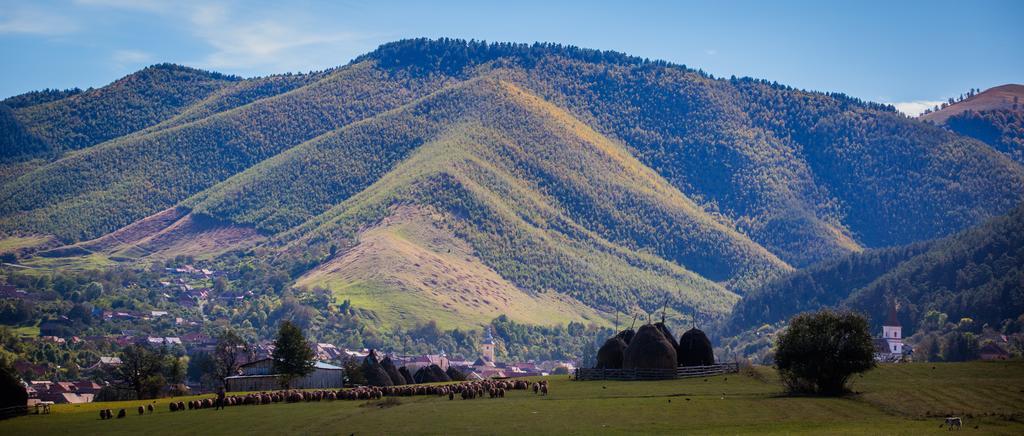 Picturesque Village In Transylvania Răşinari Zimmer foto
